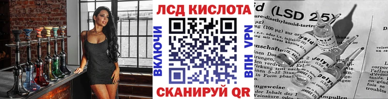hydra ССЫЛКА  Гвардейск  Марки NBOMe 1500мкг  где продают  