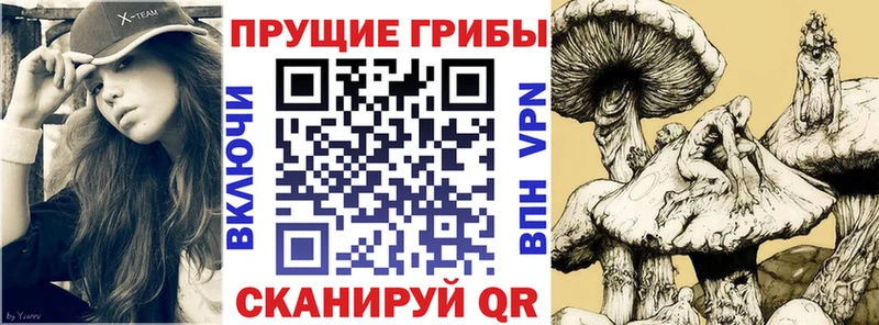 Псилоцибиновые грибы Magic Shrooms  что такое наркотик  Гвардейск 