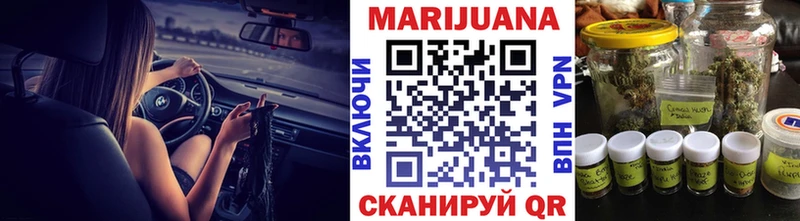 Марихуана сатива  как найти   Гвардейск 